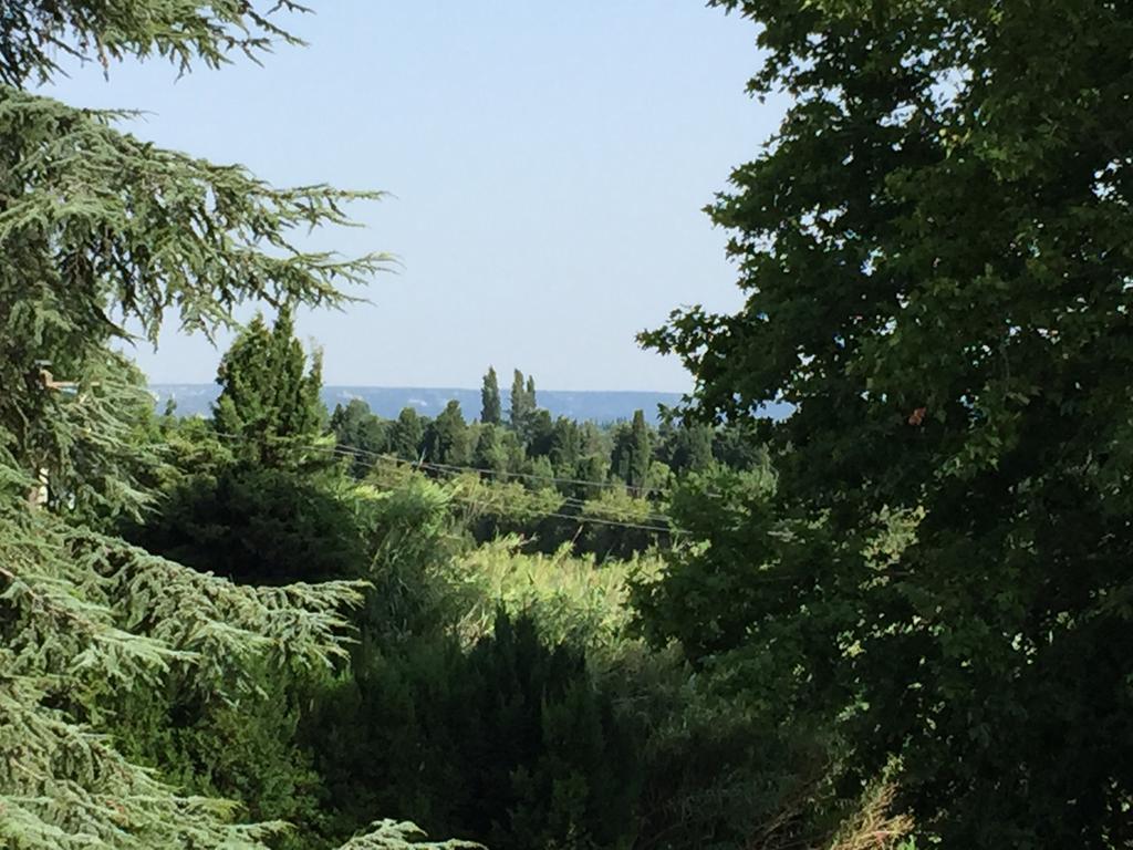 Mas De Mariette Bed & Breakfast Noves Dış mekan fotoğraf