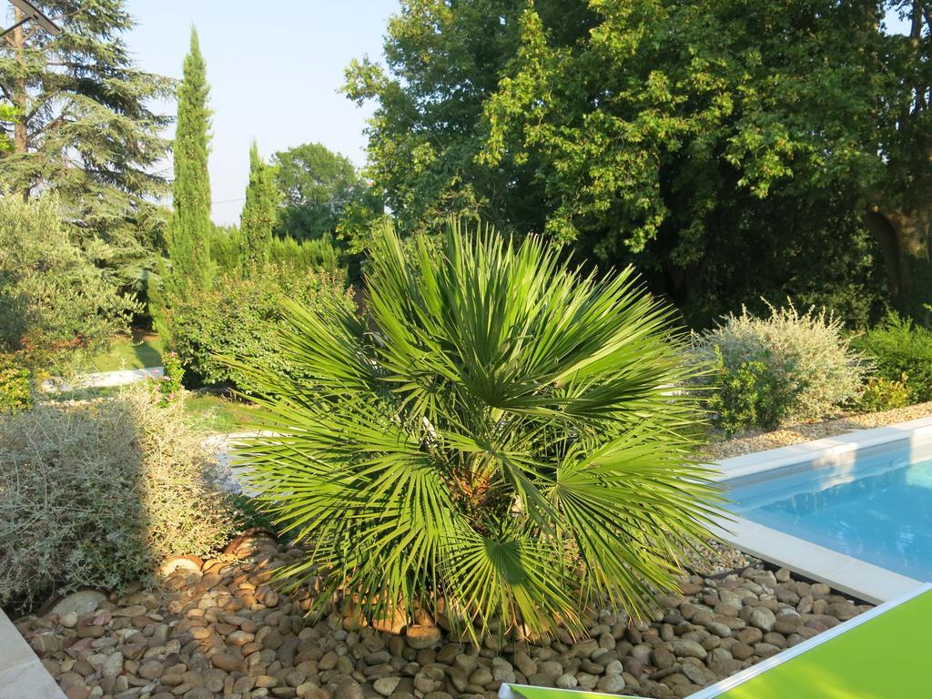 Mas De Mariette Bed & Breakfast Noves Dış mekan fotoğraf