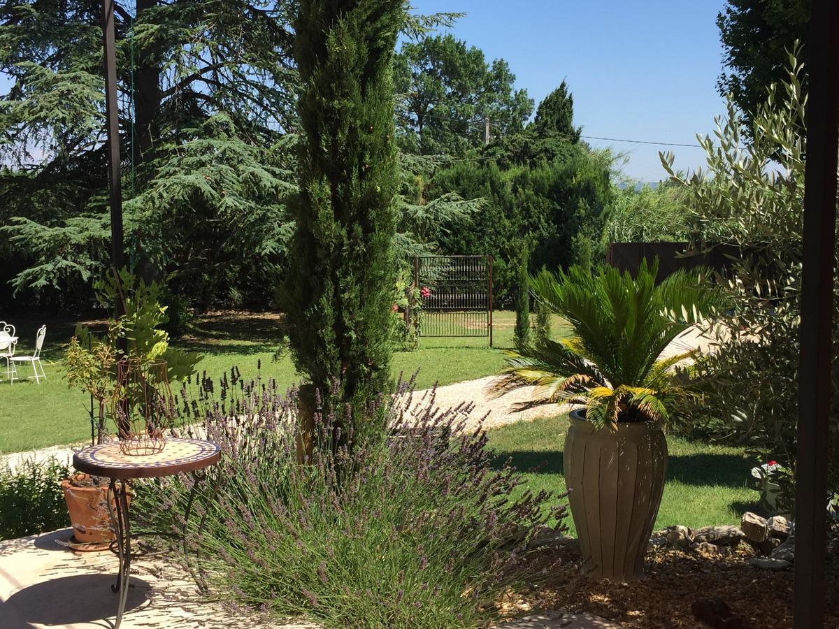 Mas De Mariette Bed & Breakfast Noves Dış mekan fotoğraf